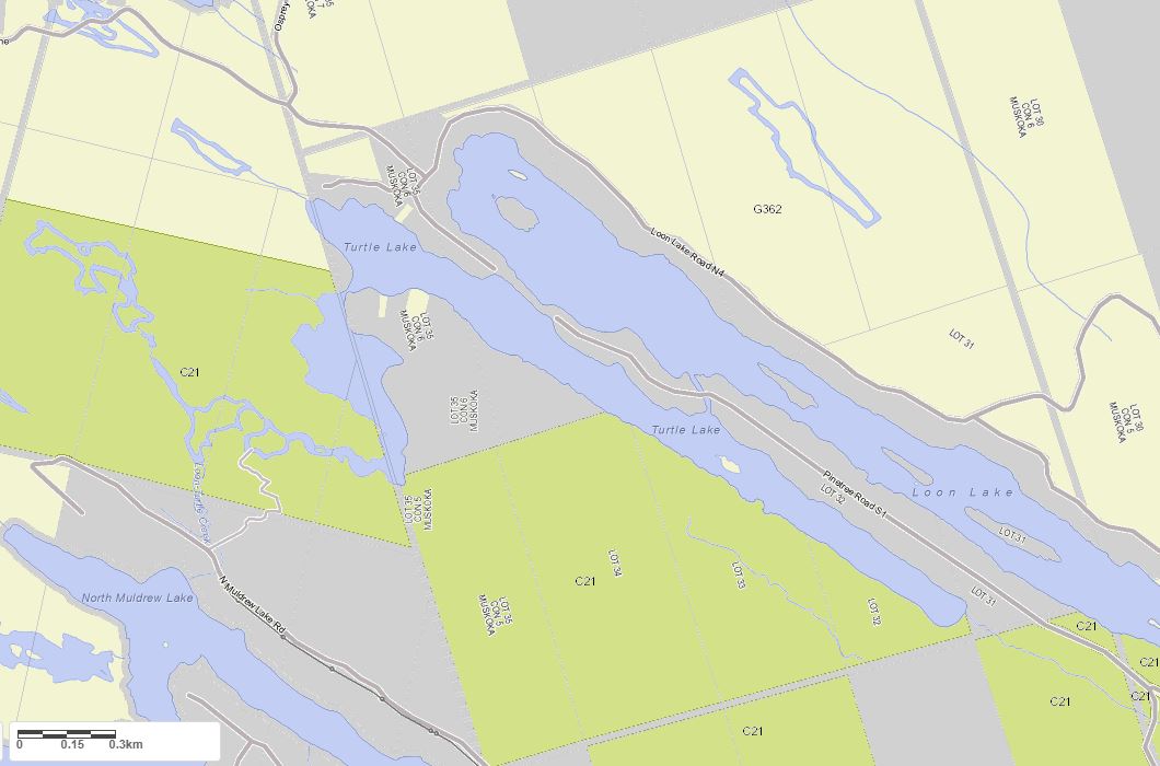 Crown Land Map of Turtle Lake in Municipality of Gravenhurst and the District of Muskoka